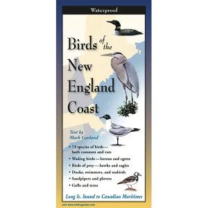 Birds of the New England Coast - Folding Guide