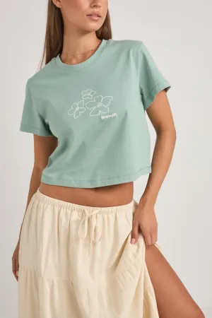 Embroidered Rhythm Crop Crew Tee Sage