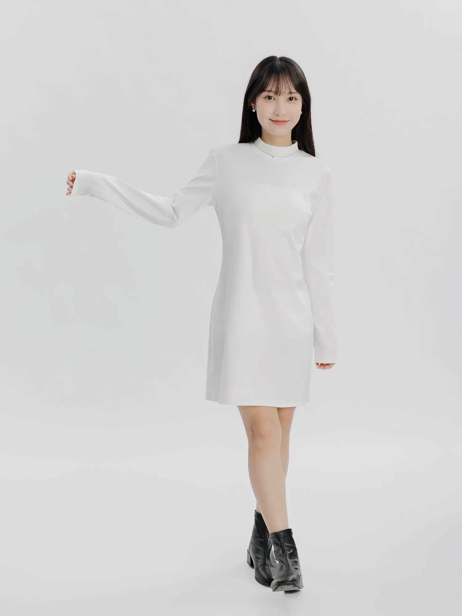 Reverie Long Sleeve Turtleneck Dress